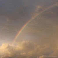 /album/galerie-de-photos-galerie-photos/frida-dumont-img-2242-jpg1/